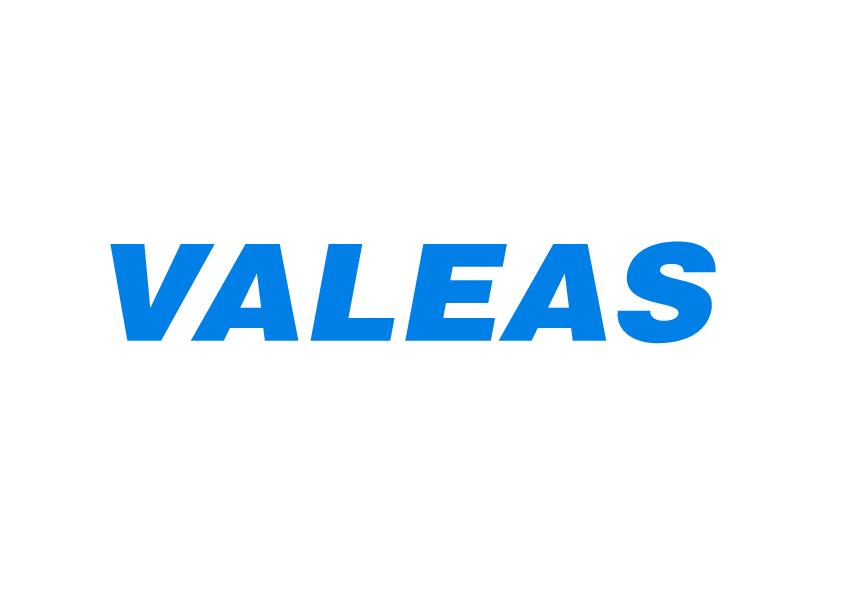 logo valeas